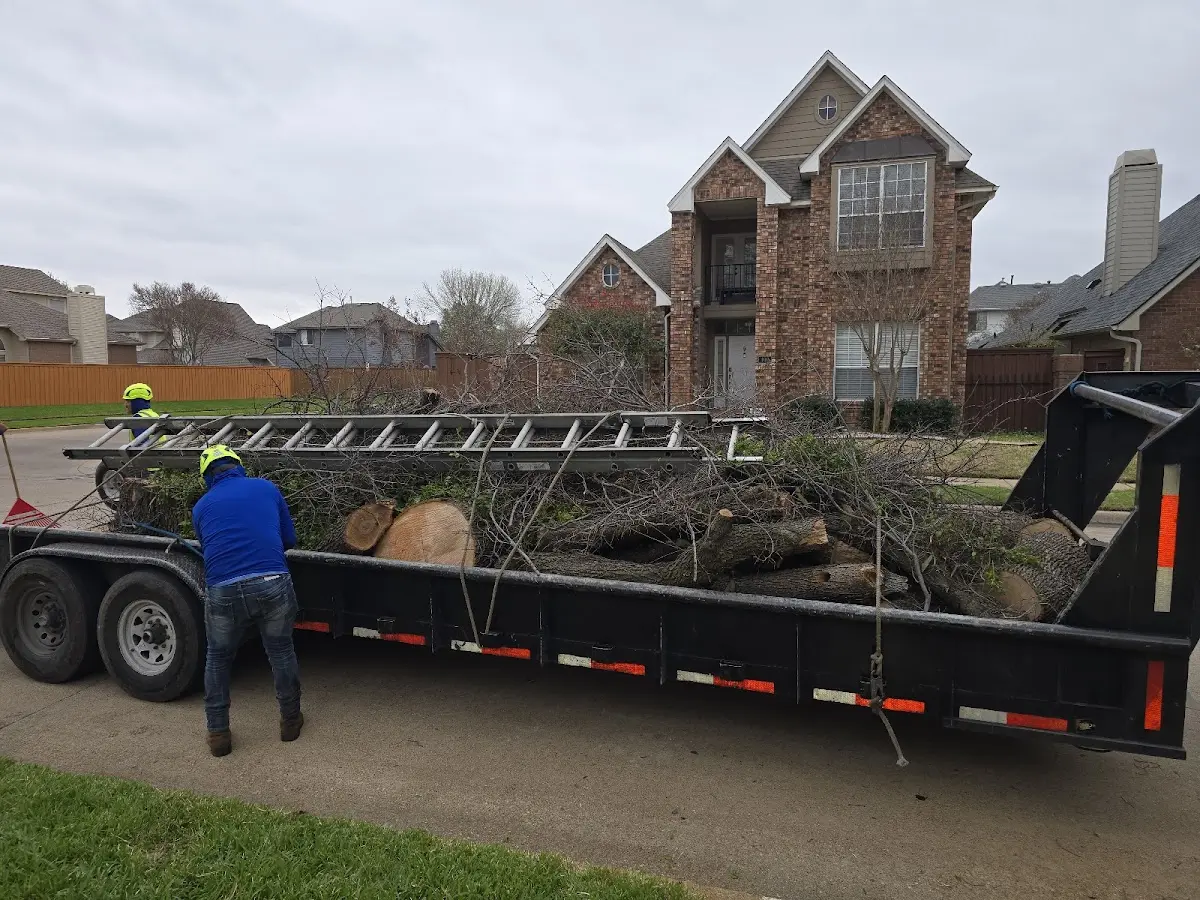 Expert Tree Removal with proper safety equipment in Edon